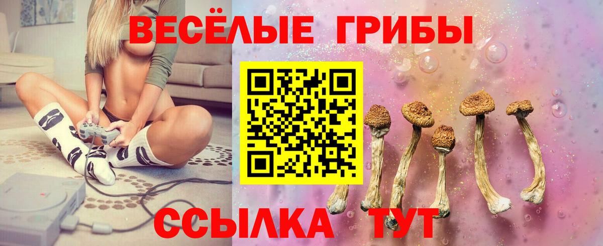 Россошь  Псилоцибиновые грибы Psilocybe  Вход с VPN  Галлюциногенные грибы GOLDEN TEACHER 